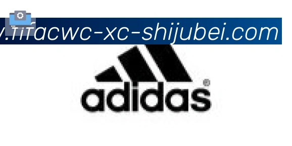 世界杯直播合作伙伴