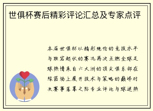 世俱杯赛后精彩评论汇总及专家点评