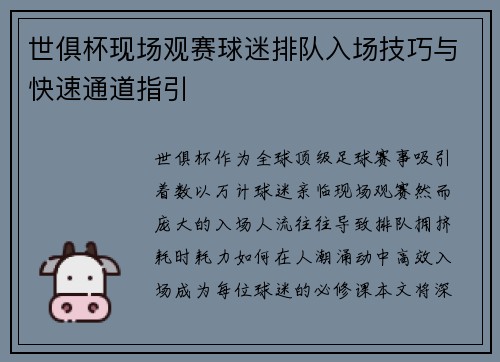世俱杯现场观赛球迷排队入场技巧与快速通道指引