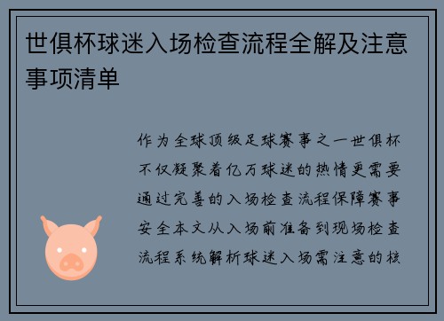 世俱杯球迷入场检查流程全解及注意事项清单
